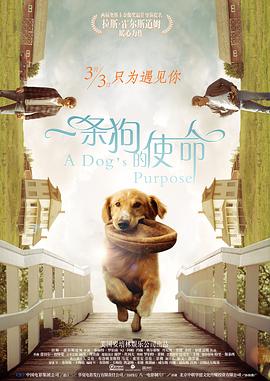 啊~用力cao我cao死我视频